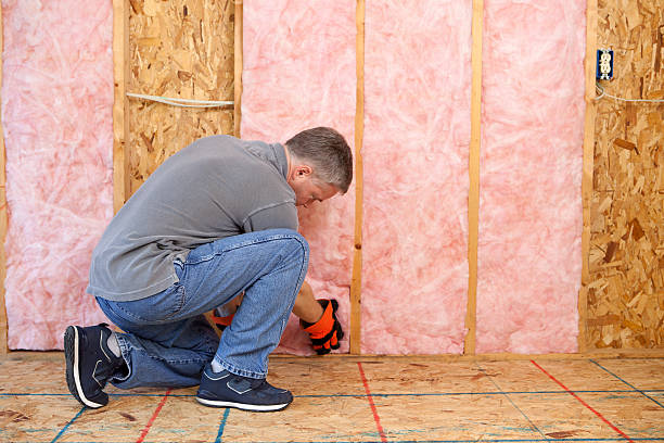 Best Specialized Insulation Services in South El Monte, CA